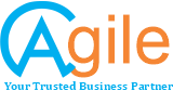 consultagile